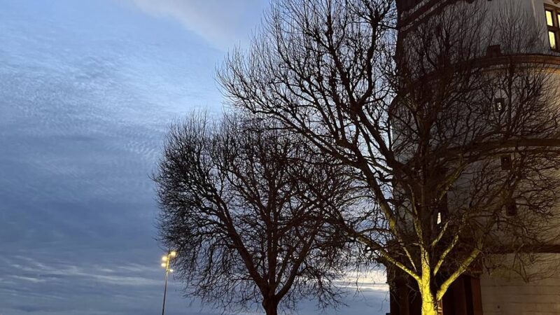 Bilanz zur Kindermuseumsnacht: Kindermuseumsnacht lockt Tausende Kinder in Düsseldorfer Museen