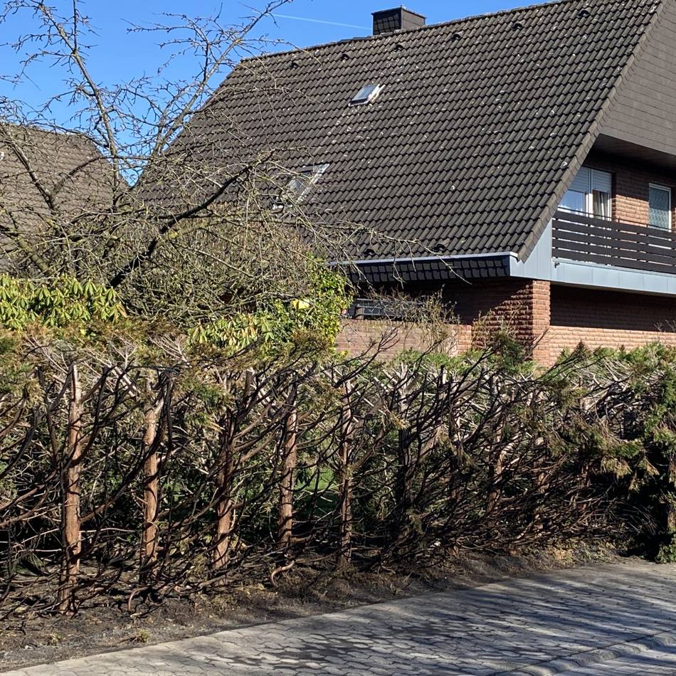 Feuerwehreinsatz am Wochenende: Wieder hat in Veert eine Hecke gebrannt