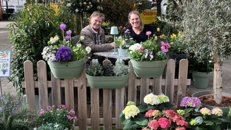 Experten-Tipps aus Kaarst: So wird aus dem Balkon ein Gartenparadies