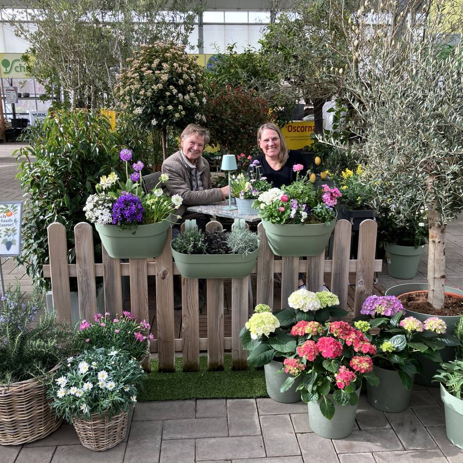 Experten-Tipps aus Kaarst: So wird aus dem Balkon ein Gartenparadies