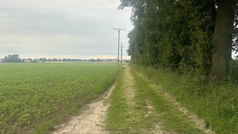 „Allein der Name ist irreführend“: Geplanter Radweg von Keppeln nach Kalkar kommt nicht