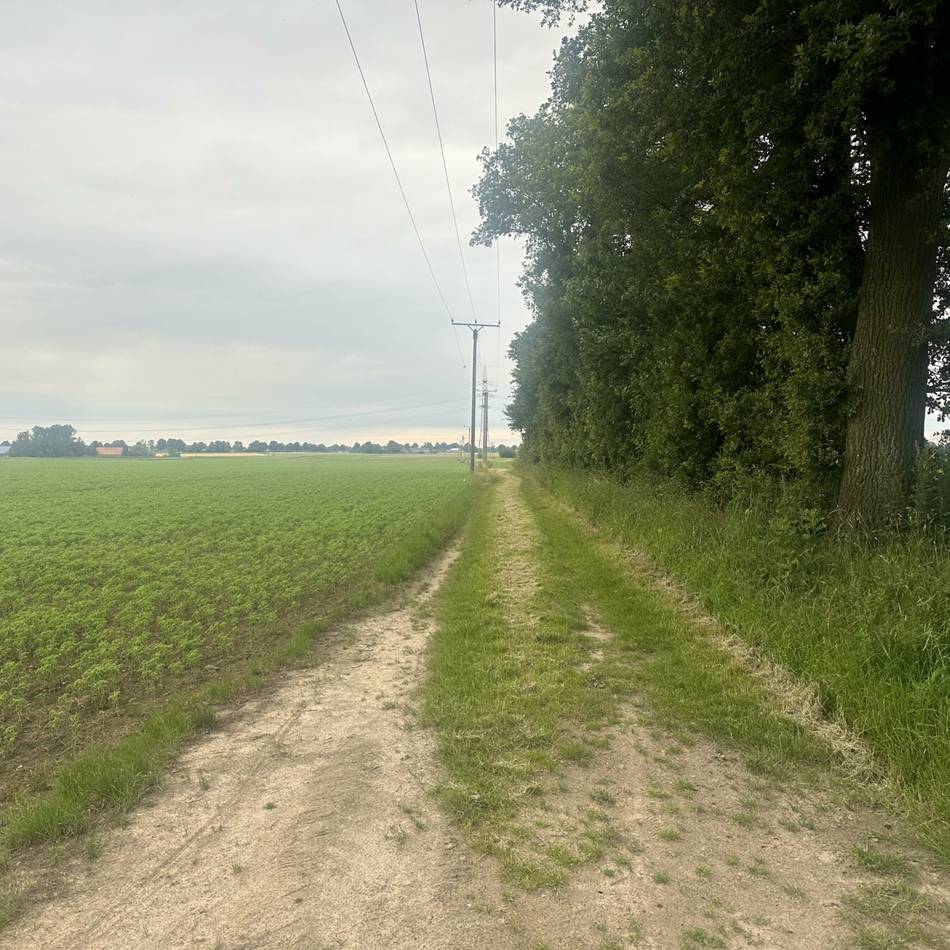„Allein der Name ist irreführend“: Geplanter Radweg von Keppeln nach Kalkar kommt nicht