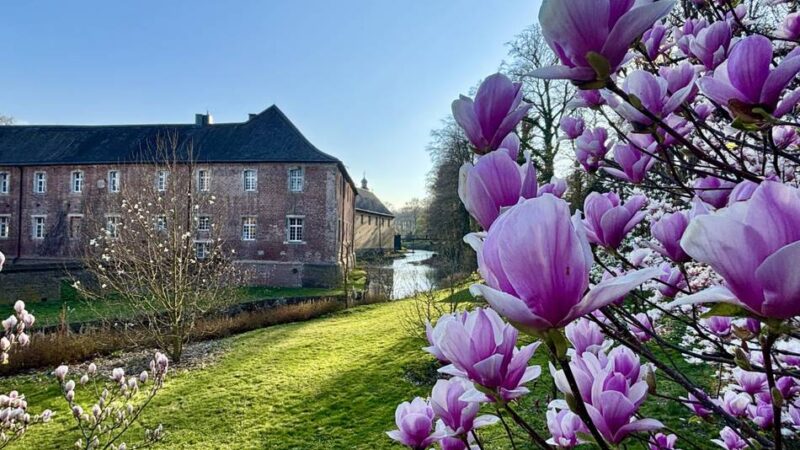 Ausflugstipp im Rheinland: Schloss Dyck lockt mit spektakulärer Blütenpracht