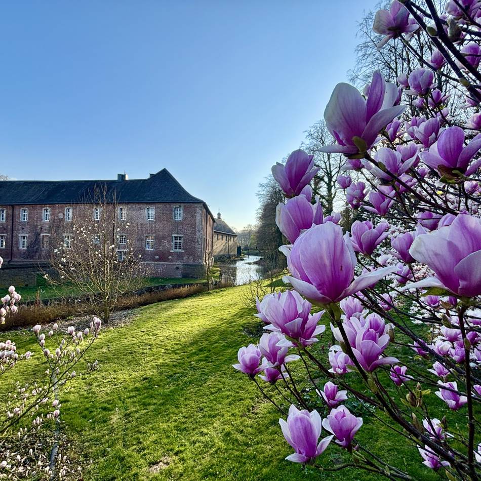Ausflugstipp im Rheinland: Schloss Dyck lockt mit spektakulärer Blütenpracht