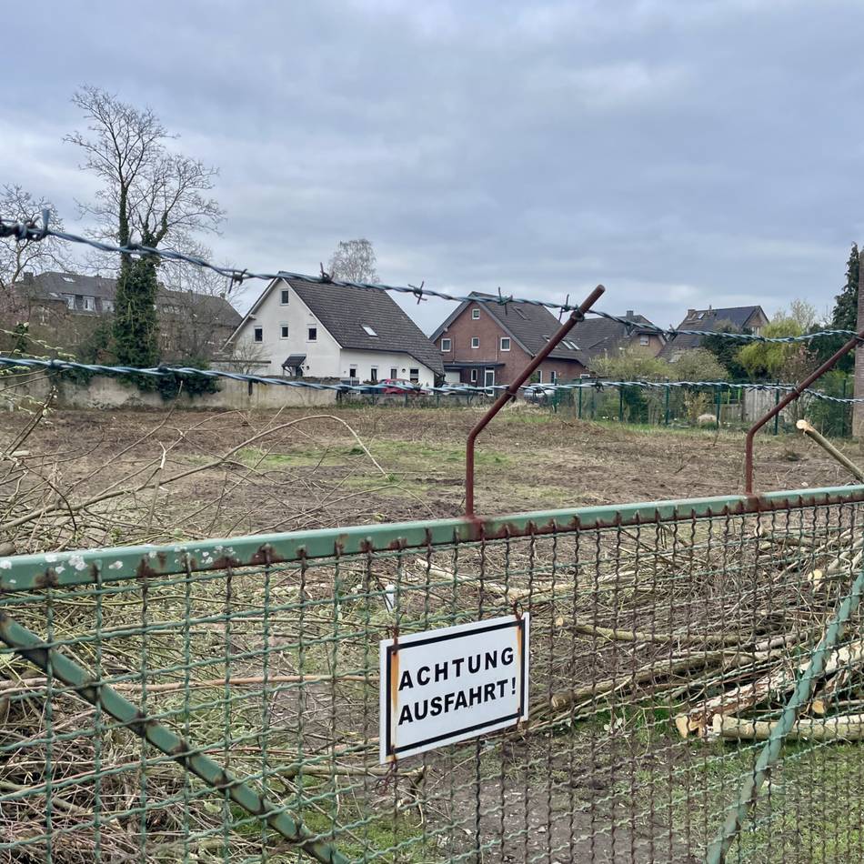 Früheres Stoffmehl-Gelände in Geldern: Anwohner sauer über Kahlschlag – „Hatte der Gutachter Tomaten auf den Augen?“