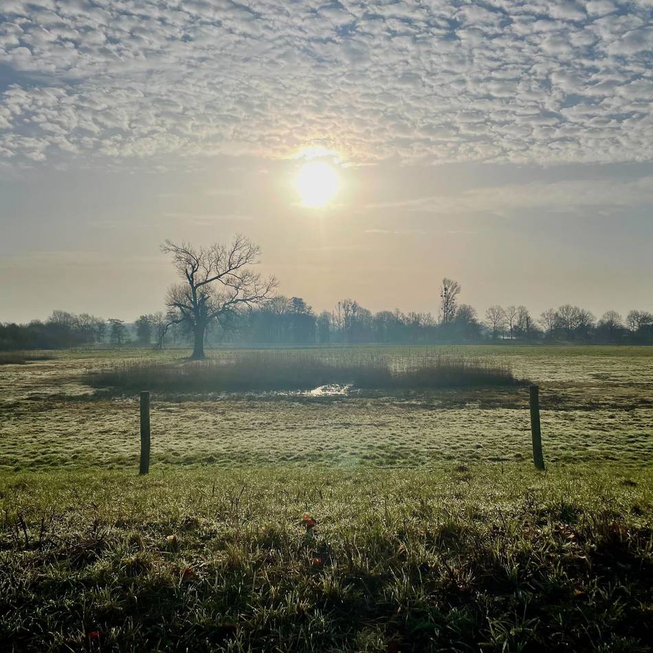 Die ersten warmen Tage 2026: Frühlingsgastspiel in Mönchengladbach