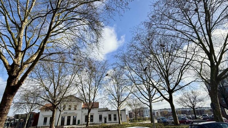 Lärm und Dreck nehmen zu: Ärger um Krähen am Klever Bahnhof – Maßnahmen „nach wie vor schwierig“