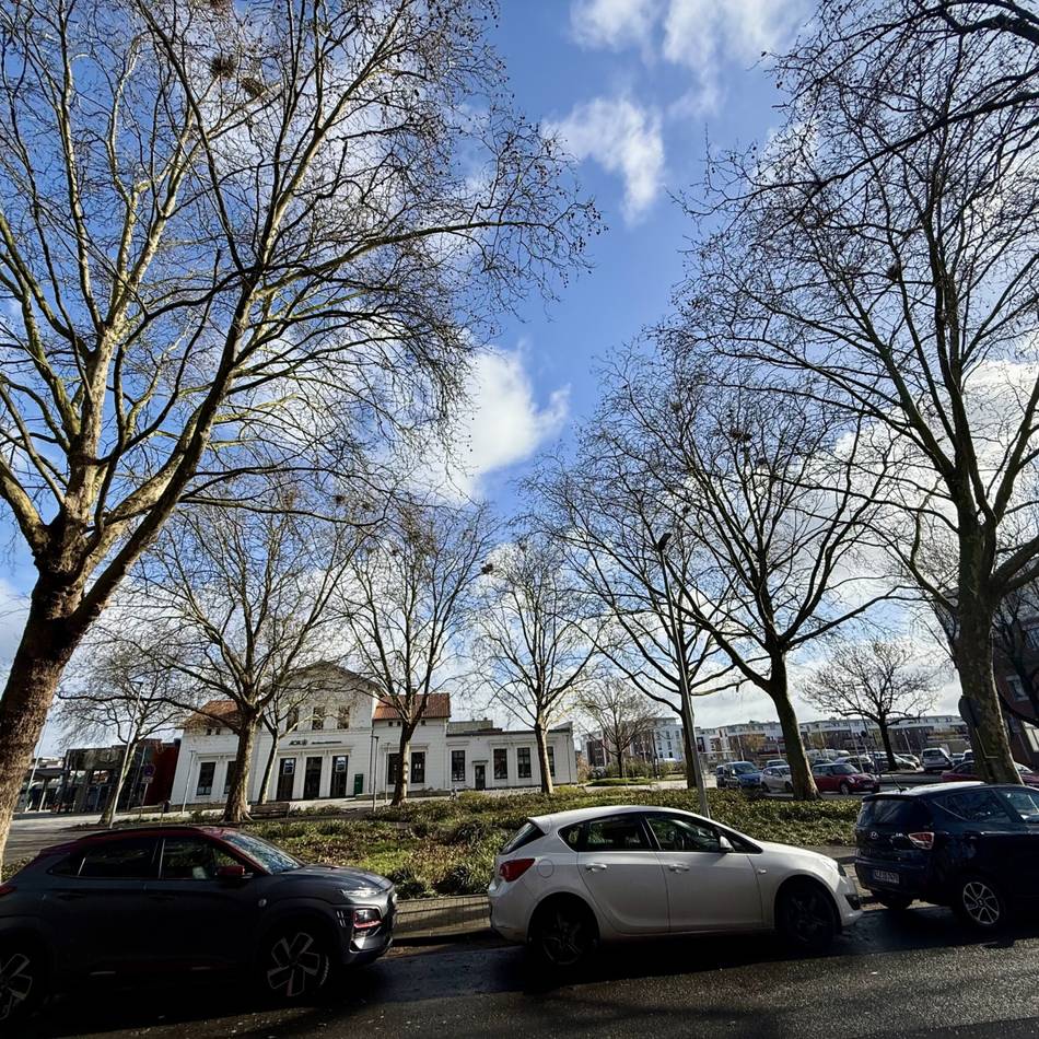 Lärm und Dreck nehmen zu: Ärger um Krähen am Klever Bahnhof – Maßnahmen „nach wie vor schwierig“
