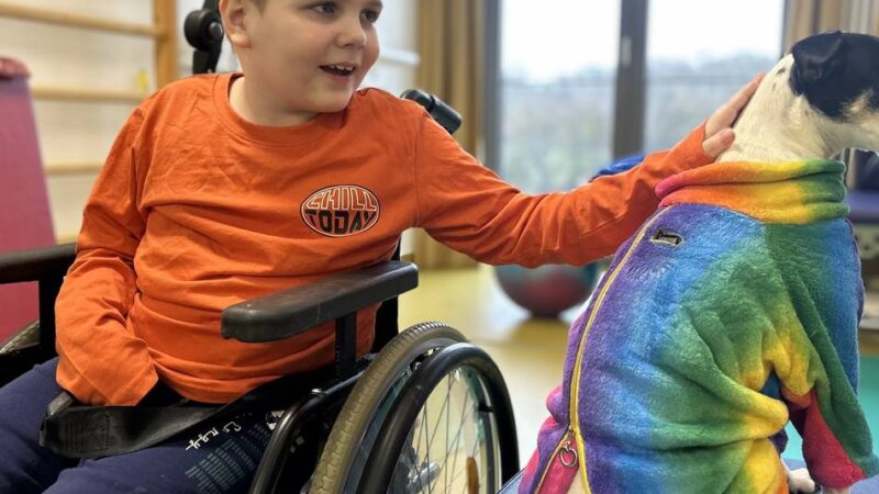 Einsatz in Meerbusch: Hündin Greta motiviert und hilft Kindern in der Therapie