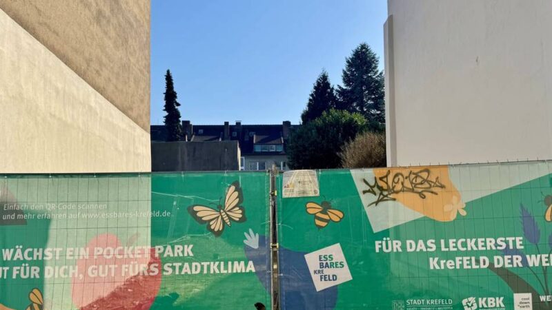 Projekt in der Krefelder City: FDP will Pocket-Park auf Eis legen