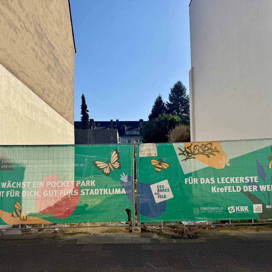 Projekt in der Krefelder City: FDP will Pocket-Park auf Eis legen