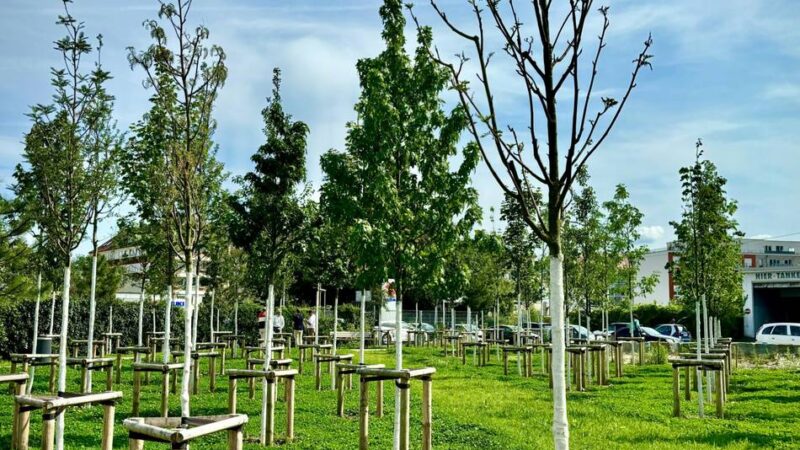 Haushalt in Düsseldorf: Klima-Etat sorgt für Diskussionen – „schwierige, finanzielle Situation“