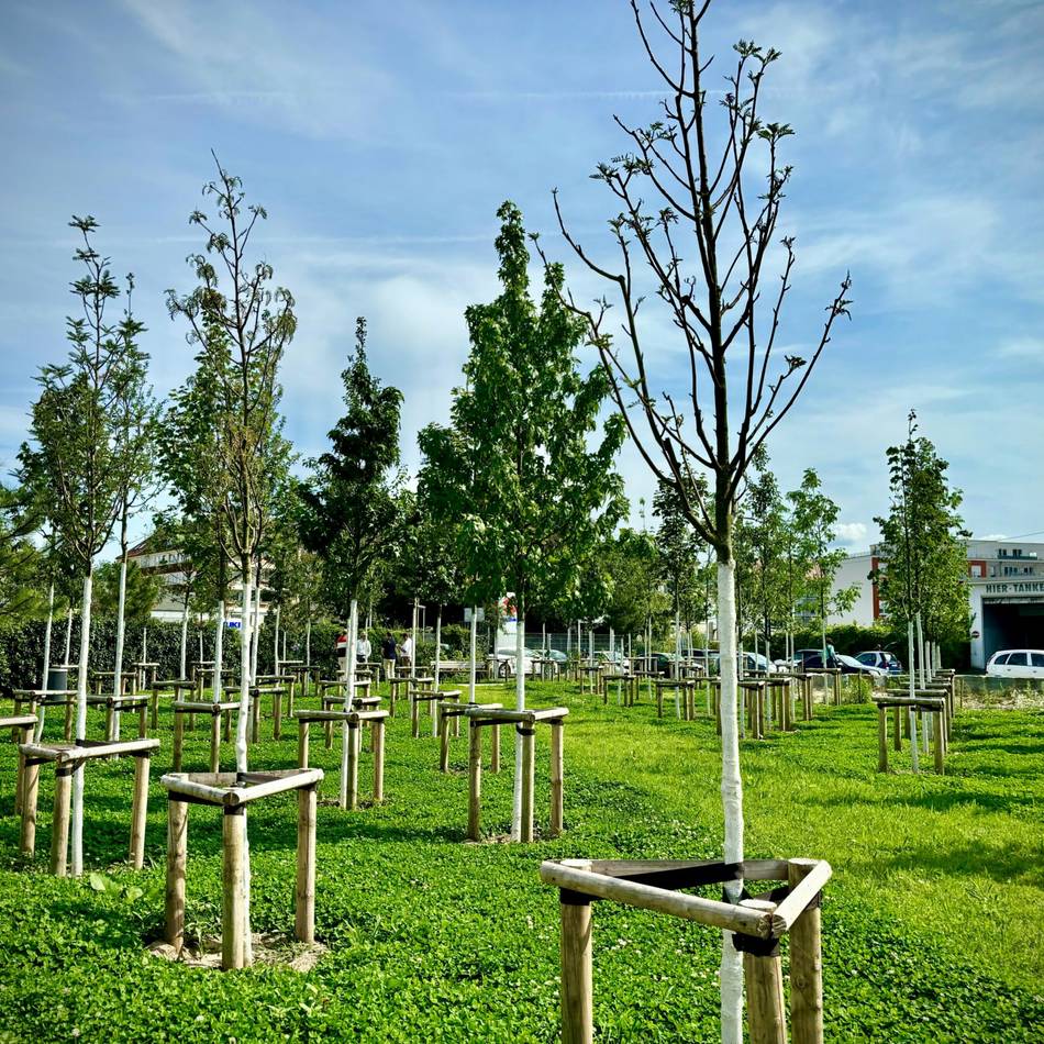 Haushalt in Düsseldorf: Klima-Etat sorgt für Diskussionen – „schwierige, finanzielle Situation“