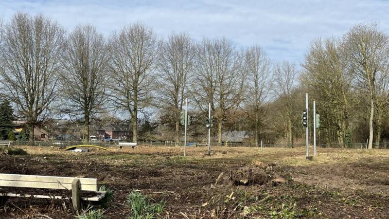 Warten auf die Neugestaltung: Darum gab es Rodungsarbeiten im Gocher Stadtpark
