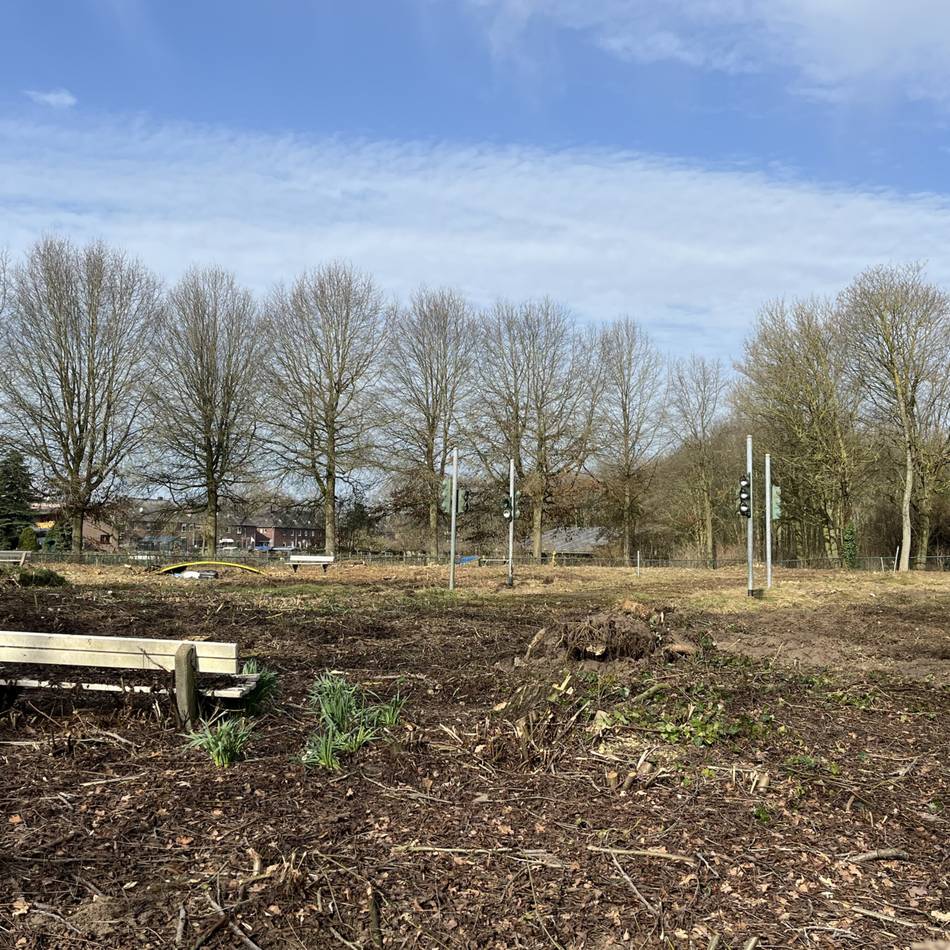 Warten auf die Neugestaltung: Darum gab es Rodungsarbeiten im Gocher Stadtpark