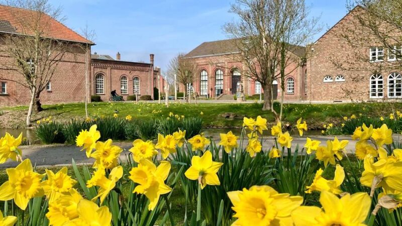 Termine im Überblick: „Lange Lernzeiten“ für Schüler und Studenten in der Grevenbroicher Stadtbibliothek