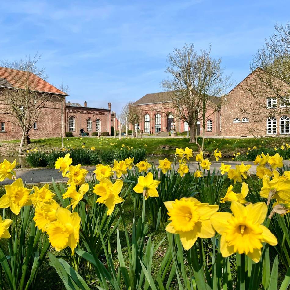 Termine im Überblick: „Lange Lernzeiten“ für Schüler und Studenten in der Grevenbroicher Stadtbibliothek