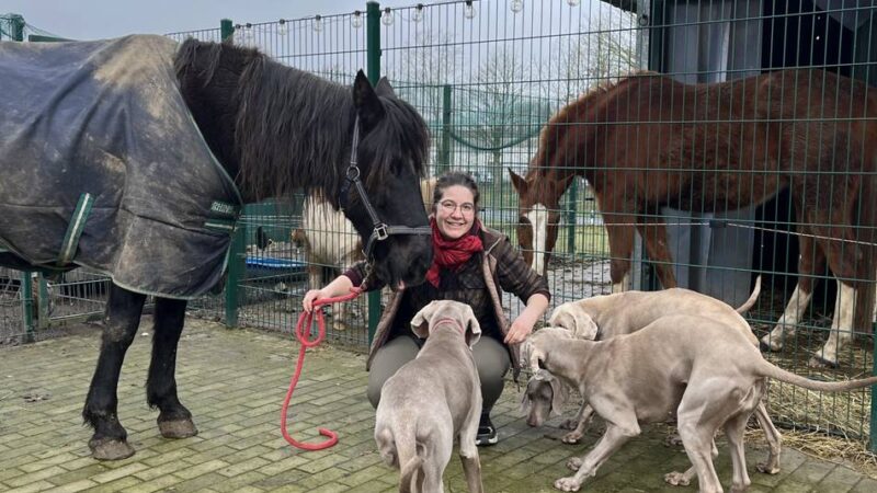Vom Filmset aufs Land: Hape Kerkelings Pferd „Horst“ genießt in Kalkar seinen Lebensabend