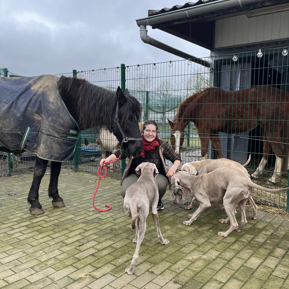 Vom Filmset aufs Land: Hape Kerkelings Pferd „Horst“ genießt in Kalkar seinen Lebensabend