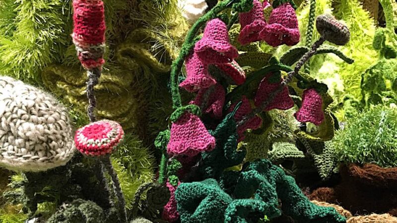 Programm zur Ausstellung in Krefeld: Den Wald mit allen Sinnen erleben – vom Silent Walk bis zum Kindergeburtstag