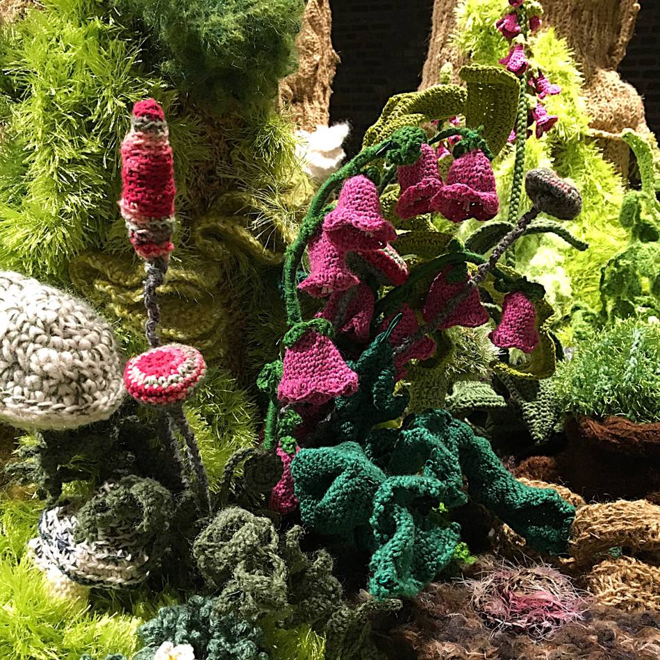 Programm zur Ausstellung in Krefeld: Den Wald mit allen Sinnen erleben – vom Silent Walk bis zum Kindergeburtstag