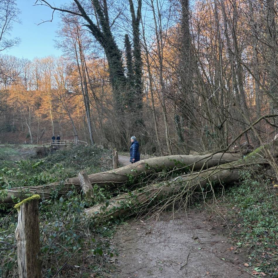 Christine Rech und Georg Görtz vom Kreis Mettmann: Warum es im Wald immer gefährlich bleiben wird