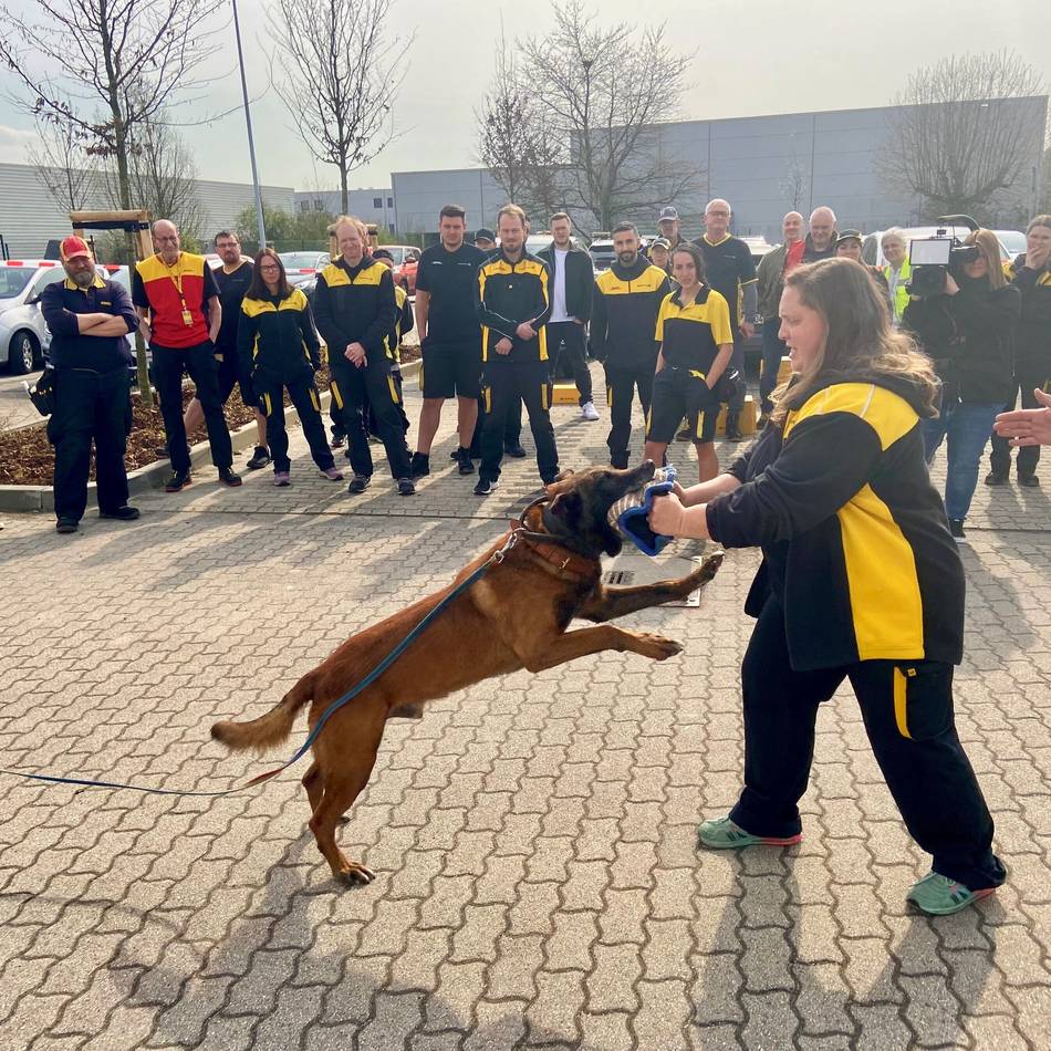 Tipps von Hundetrainern: Diese Fehler sollten Sie bei Begegnungen mit Hunden vermeiden