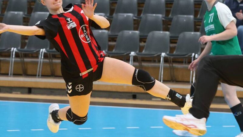 Rückenwind im Abstiegskampf: Elfen kämpfen in Leipzig gegen den Topfavoriten