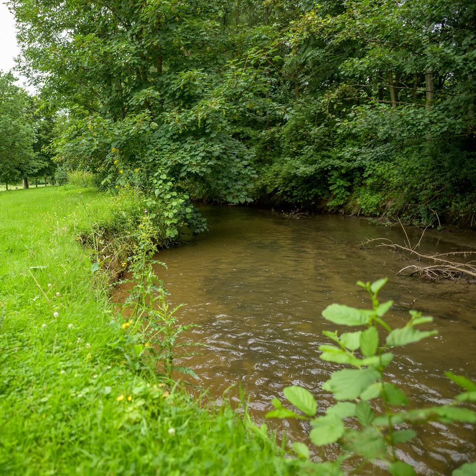 Gewässerschutz in Rommerskirchen: „Der Gillbach ist identitätsstiftend“