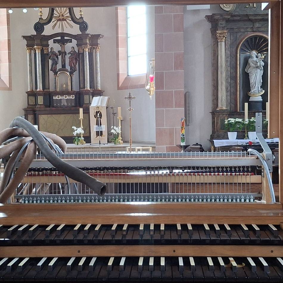 Orgelweihe an St. Aloysius: Ein Jahrhundertereignis in Stürzelberg