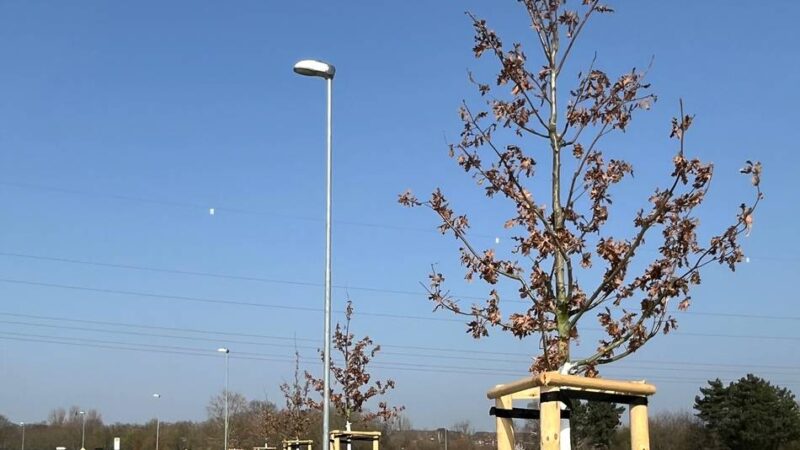 Monheim: Neue Bäume und Sträucher für die Ida-Siekmann-Straße