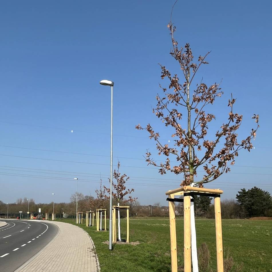 Monheim: Neue Bäume und Sträucher für die Ida-Siekmann-Straße