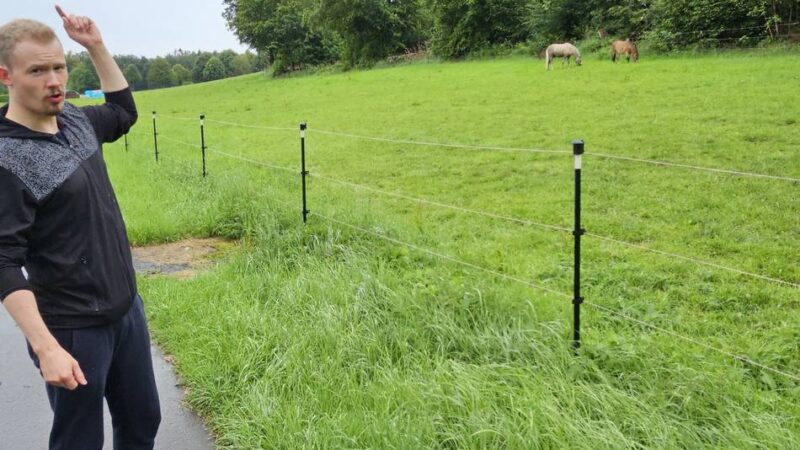 Vorsicht beim Radfahren und Joggen in Hückeswagen: Aggressiver Greifvogel im Bereich Mickenhagen