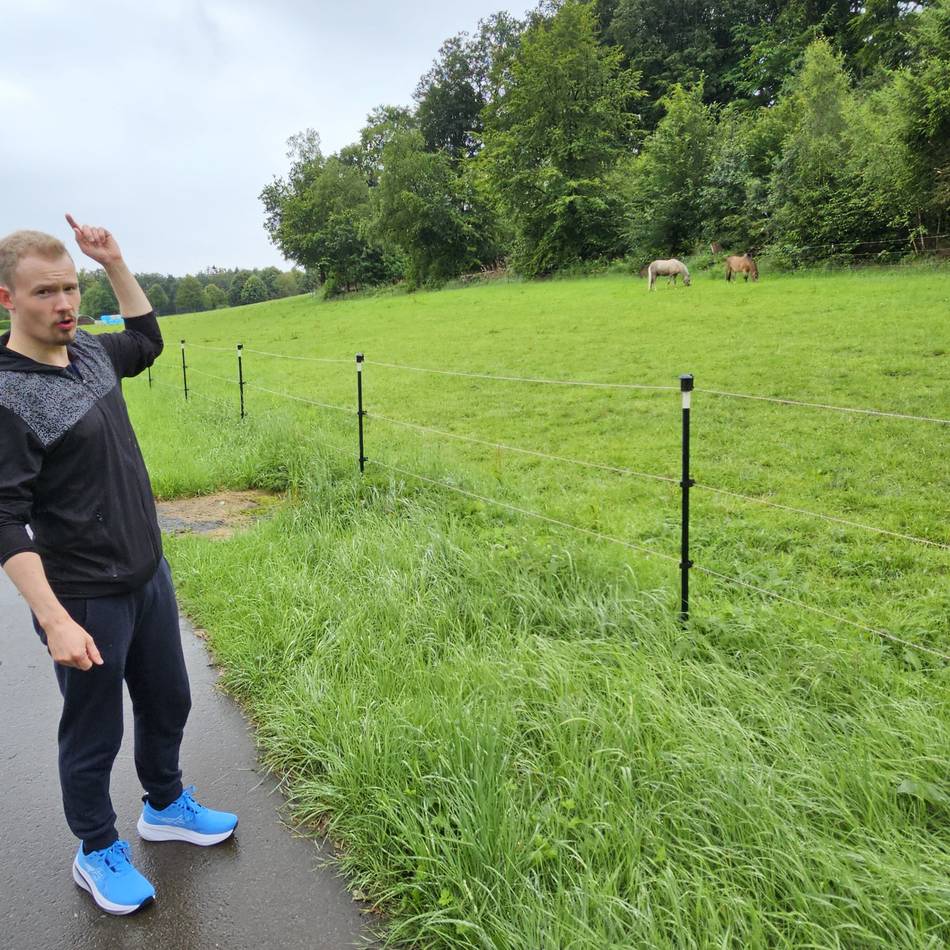 Vorsicht beim Radfahren und Joggen in Hückeswagen: Aggressiver Greifvogel im Bereich Mickenhagen