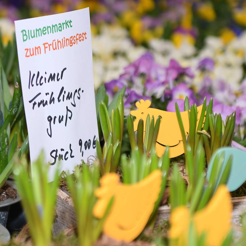 Kultur-Haus Zach zum Frühlingsfest in Hückeswagen: Blumenmarkt, Literatur, Café und Waffelbäckerei