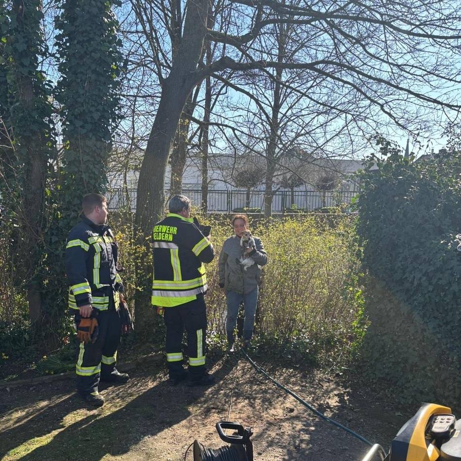 Jack-Russell aus Abwasserrohr geholt: Rettungsaktion für Hündin – wer zahlt die Kosten für den Einsatz in Geldern?