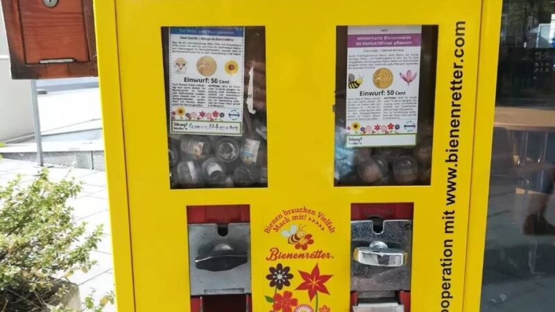 Naturschutz in Dormagen: An der Stadtbibliothek gibt’s wieder Futter für Bienen
