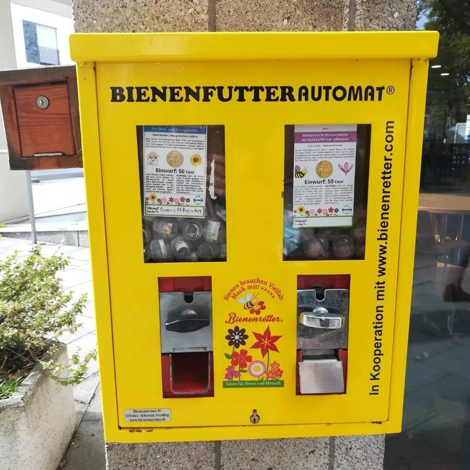 Naturschutz in Dormagen: An der Stadtbibliothek gibt’s wieder Futter für Bienen