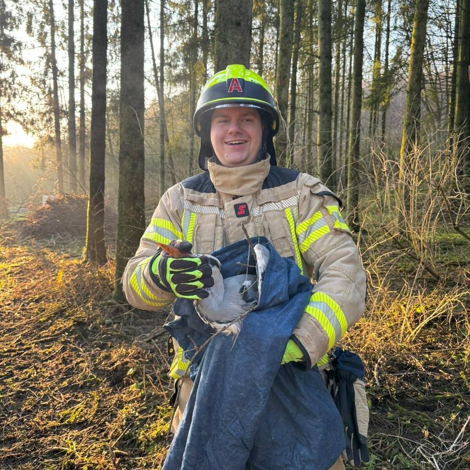 Hückeswagener Löschzug im Dauereinsatz: Feuerwehr rettet verletzten, wohl abgestürzten Fischreiher