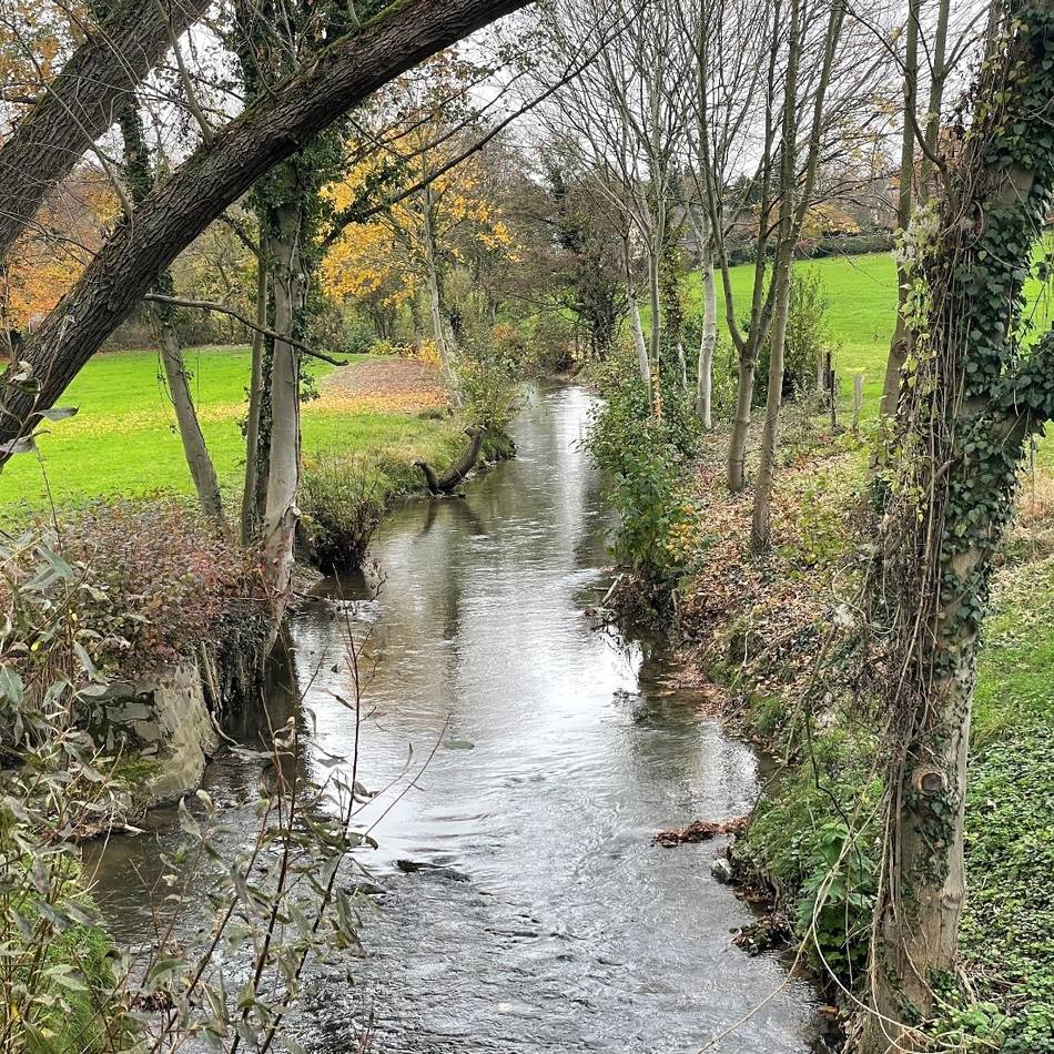 Programm zum Stadtjubiläum: Visionen für ein artenreiches Ratingen