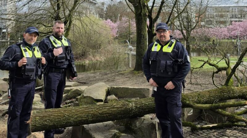 Bäume in Kaarst von Unbekannten beschädigt: „Ich bin schockiert über die mutwillige Zerstörung“