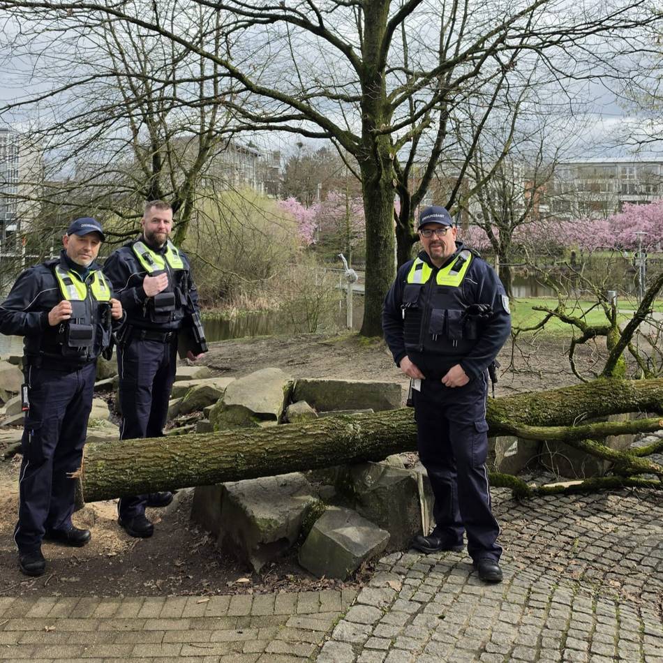 Bäume in Kaarst von Unbekannten beschädigt: „Ich bin schockiert über die mutwillige Zerstörung“