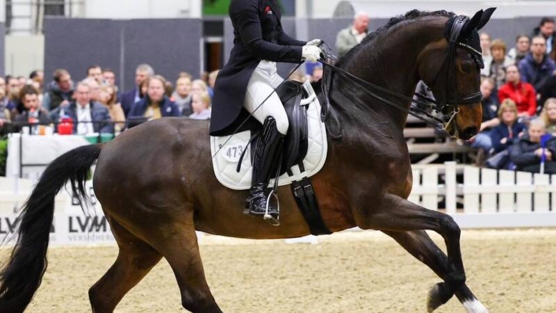 Dressurturnier des RV Kalkar: Nadine te Laak überzeugt mit ruhiger Reiterhand