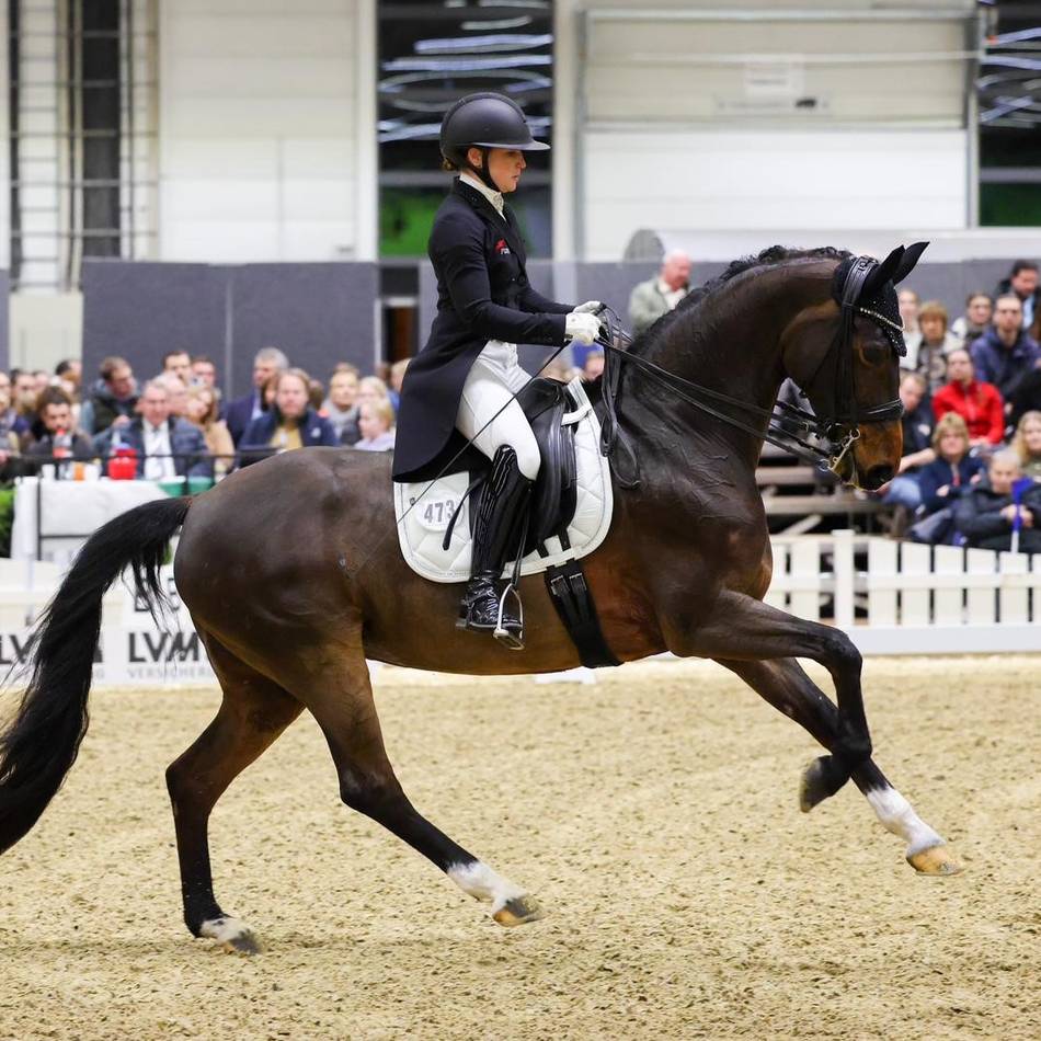 Dressurturnier des RV Kalkar: Nadine te Laak überzeugt mit ruhiger Reiterhand