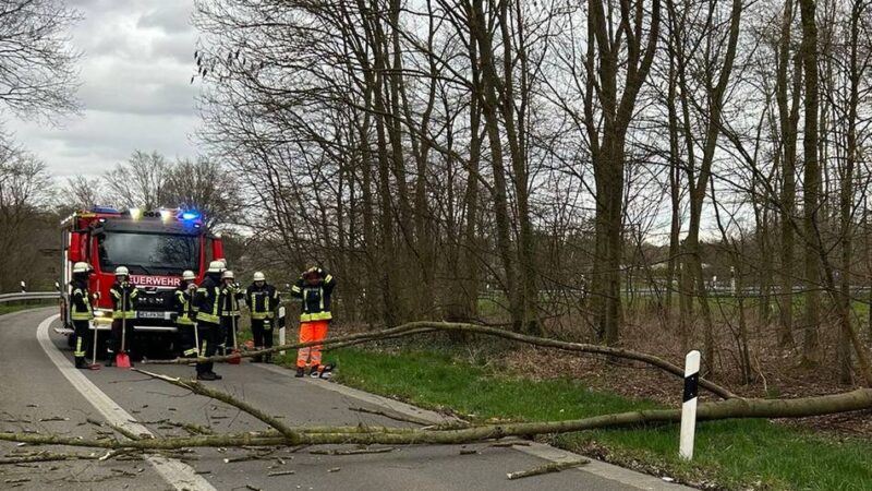 Freiwillige Feuerwehr Sonsbeck im Einsatz: Sturm am Samstagnachmittag – Baum stürzt auf Zufahrt der A 57