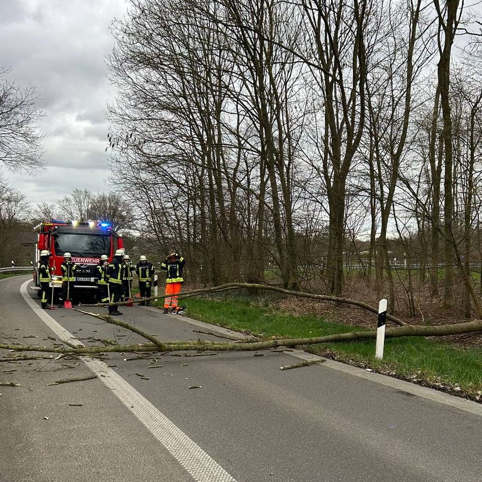 Freiwillige Feuerwehr Sonsbeck im Einsatz: Sturm am Samstagnachmittag – Baum stürzt auf Zufahrt der A 57