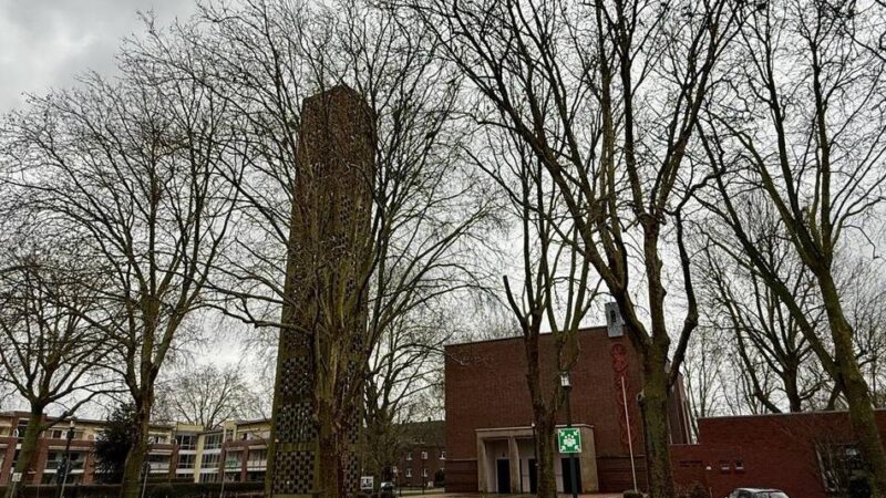 Anwohner am Limit: Krähen-Ärger in Kleve – Menschenschutz muss vor Artenschutz gehen