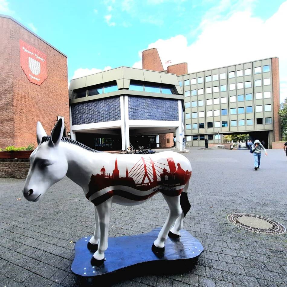 Nach Wahlpanne in Wesel: SPD gewinnt Wiederholungswahl – das sind die Folgen für den Rat