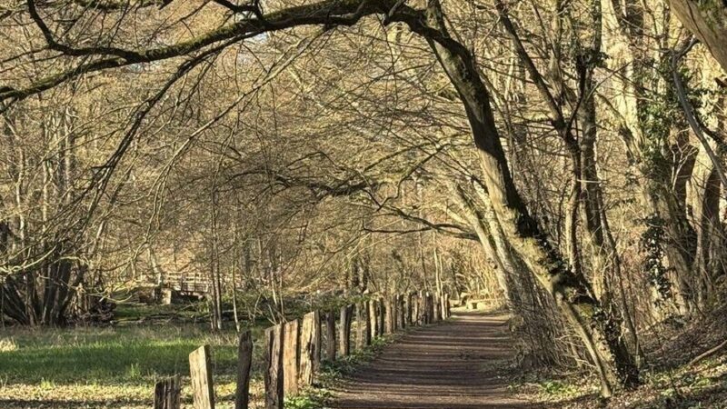 Kreis gibt bekannt: Wanderweg durchs Düsseltal wird vier Monate gesperrt