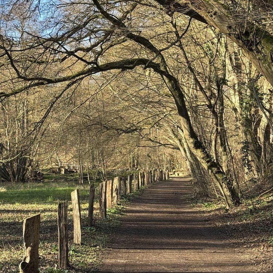 Kreis gibt bekannt: Wanderweg durchs Düsseltal wird vier Monate gesperrt